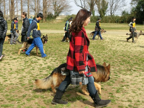 ④往来の中の行進