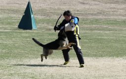 2018日本訓練ジーガー競技会 担当審査員