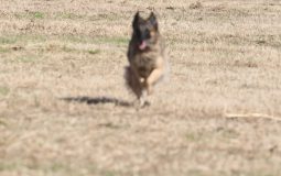 第2回 東日本アマプロオープン展覧会・競技会 成績表