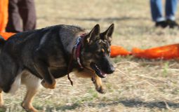 事務局お休みのお知らせ