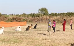 埼玉支部50周年記念 東日本ランデスオープン展覧会・訓練競技会のご案内