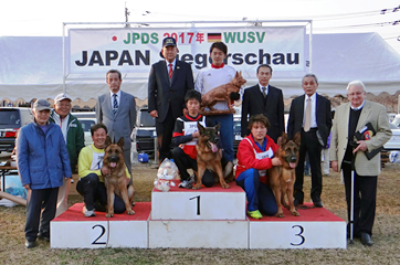 JPDS2017成犬オス