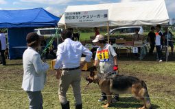 2018中日本ランデスジーガー展成績表