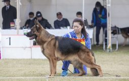 東日本ランデスジーガー展 成績表