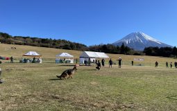 2023日本ジーガー展 成績表