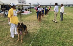 事務局よりお知らせ