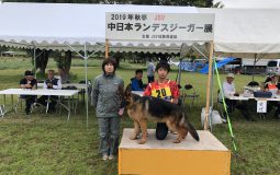 2019 中日本ランデスジーガー展 成績表