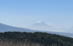 会員の皆様へ
