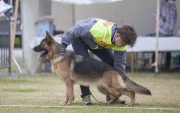 2022 秋季南日本ランデスジーガー展・訓練競技会成績表