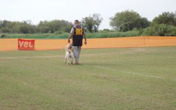 事務局よりお知らせ