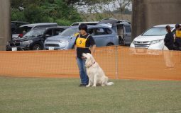 秋季スーパーランデス写真集2井上裕子氏撮影