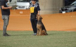 新入会の手続きについてのお知らせ