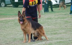 秋季スーパーランデス写真集1勝柴正幸氏撮影