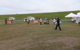 2025ジーガー展写真集5アマチュアクラス