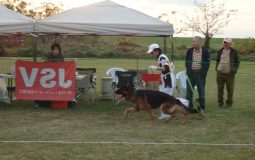 2025ジーガー展写真集7本戦2