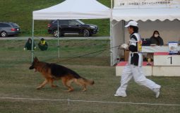 2025ジーガー展写真集2個体審査