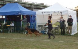 2025ジーガー展写真集1会場風景