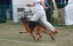 2025ジーガー展写真集6本戦1