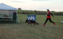 2025ジーガー展写真集3個体審査