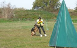 2025ジーガー展写真集4 TSB