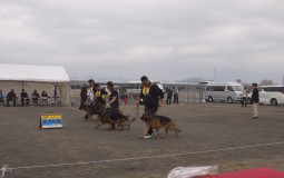 春季東日本ランデスジーガー展　会場変更のお知らせ