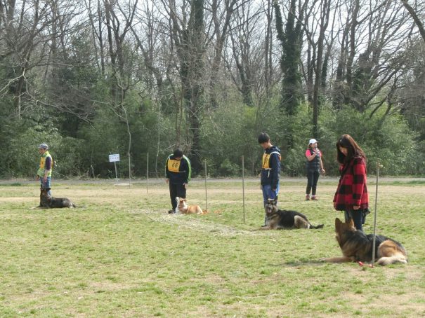 ①指導手が横についてる全犬休止