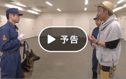今夜放送！ NHK ザ・バックヤード 警視庁東大和庁舎警察犬訓練所
