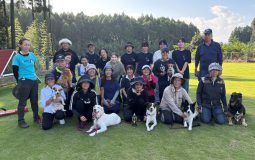 南日本訓練競技会 成績表