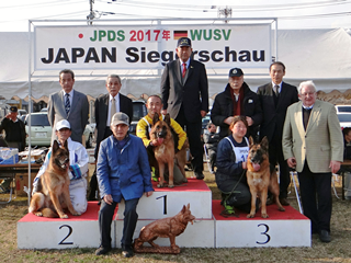 JPDS2017成犬牝