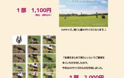 2021年版 シェパード犬カレンダー発売中