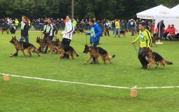 2018 北日本ランデスジーガー展のご案内