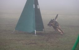 2026年日本訓練ジーガー競技会（併催 2大会）ご案内